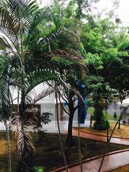 Blk 292A Compassvale Street (Sengkang), HDB 5 Rooms #129540972